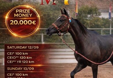 Españoles Inscritos en el Haleh Nations Cup de Barroca D’Alva en Alcochete, (Portugal).