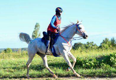 Éxito Español en el Raid Hípico Internacional de Monpazier, Francia.
