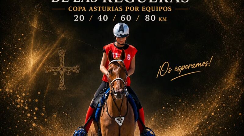 VI Raid Hípico Las Regueras, (Asturias).