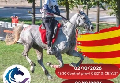 12º Raid Hípico Vic-Osona (Barcelona),  Ctº Absoluto de Cataluña.