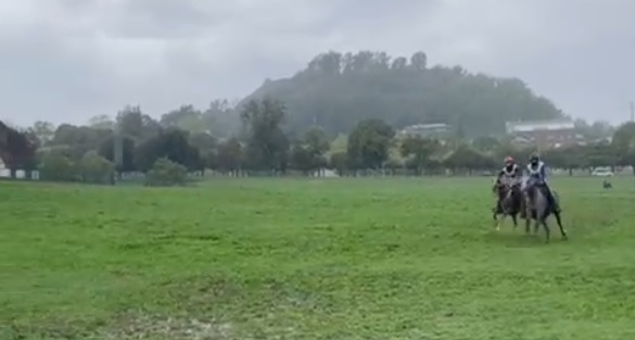 Llegada del CEI** de 120 Km. (foto de EOL).